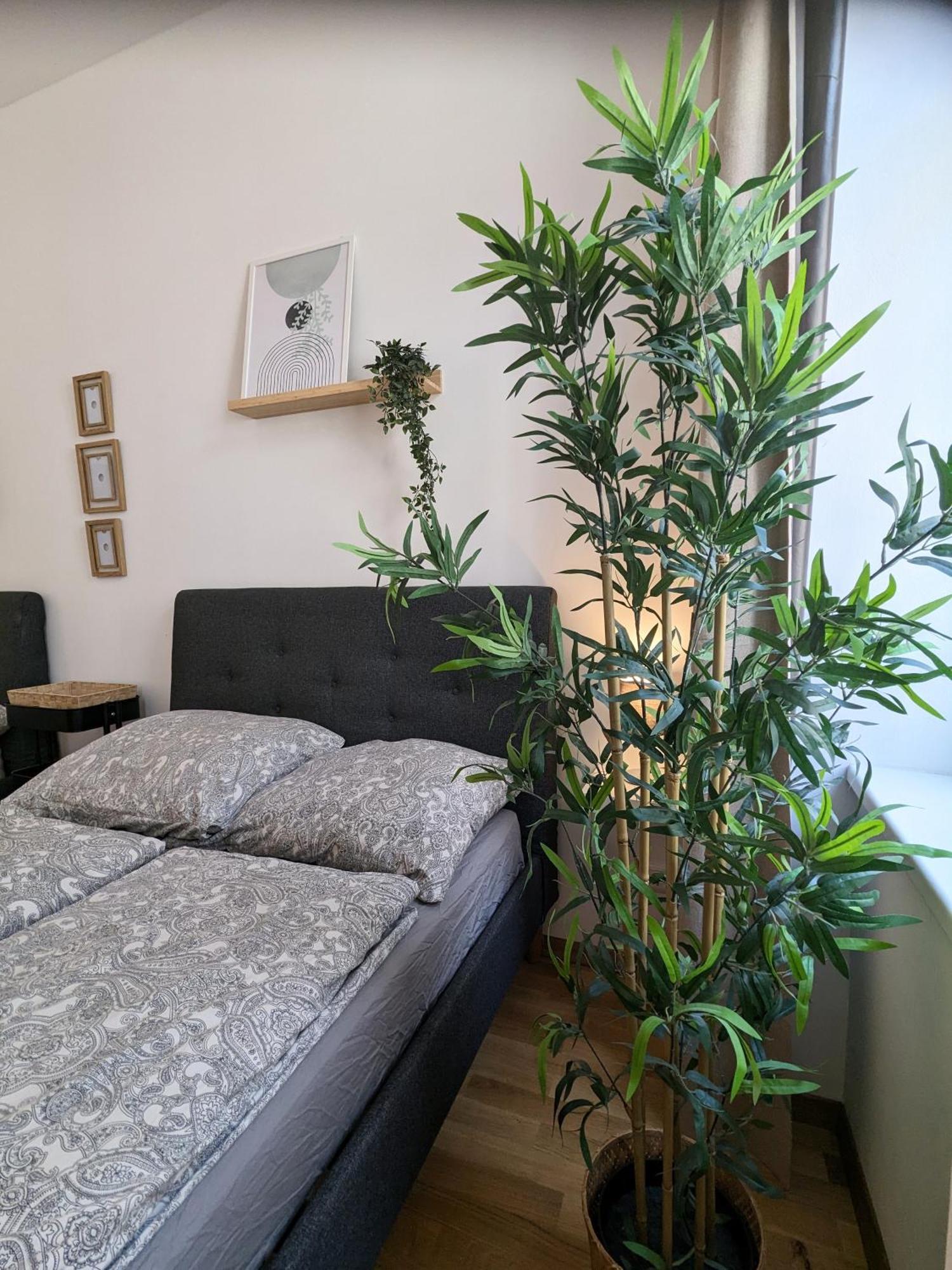 Renovated Studio - 10 Min To Center 비엔나 외부 사진